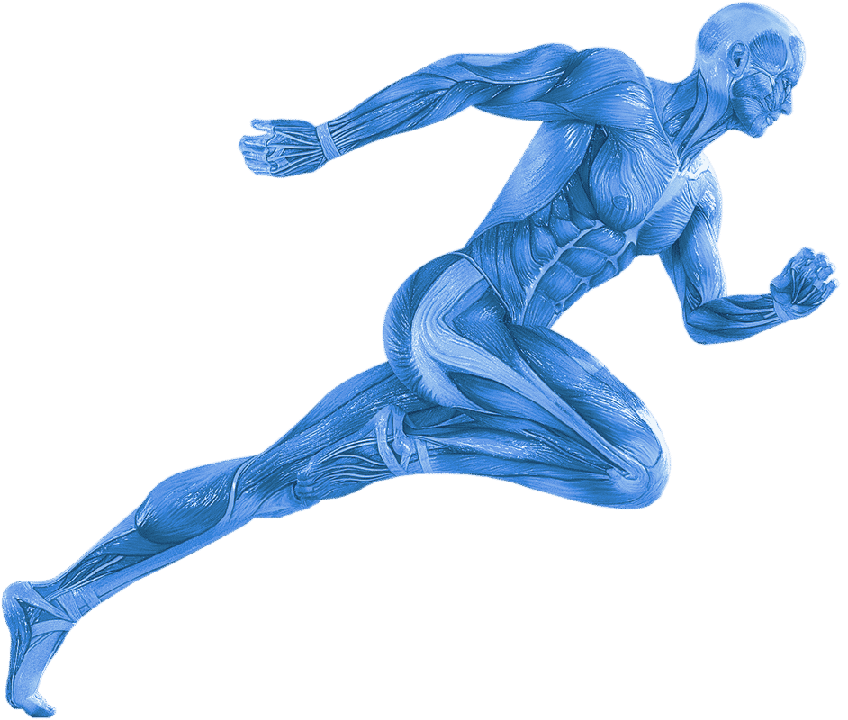 a sketch of a muscular male body, preparing to run, symbolizing softwave’s powerful effects on health